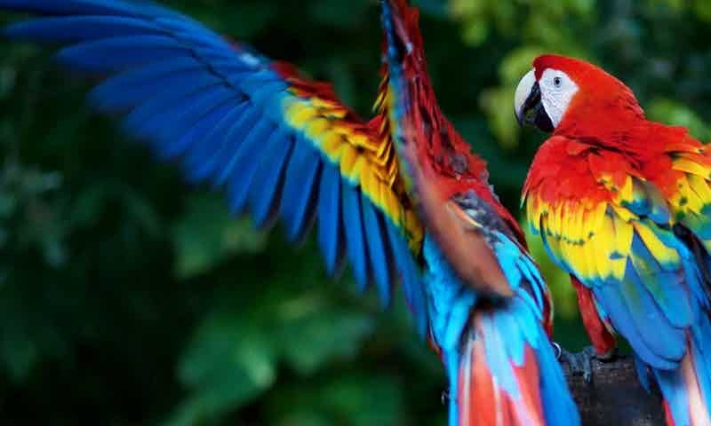 cumque-sed-reiciendis-ut-modi