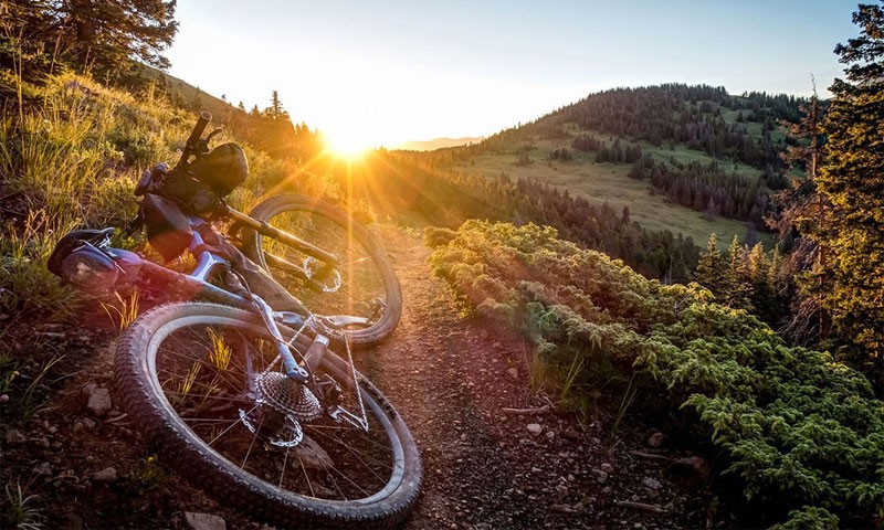 ratione-beatae-ipsum-explicabo-quo-aut-impedit