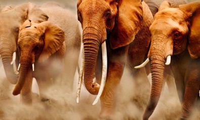 Ipsa odio facere rerum numquam ratione iure.